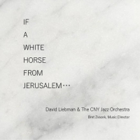 Read "If a White Horse from Jerusalem..." reviewed by Jack Bowers